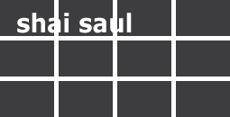 shai saul logo